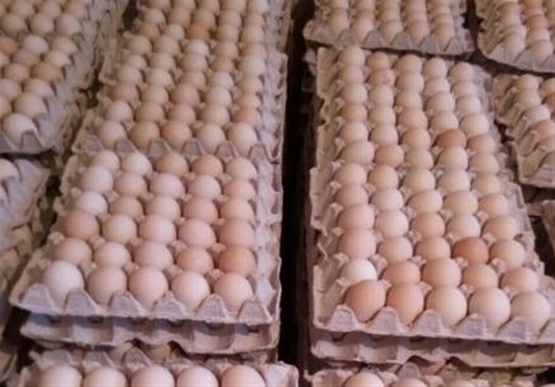 تخم مرغ در عمده فروشی ها ارزان شد