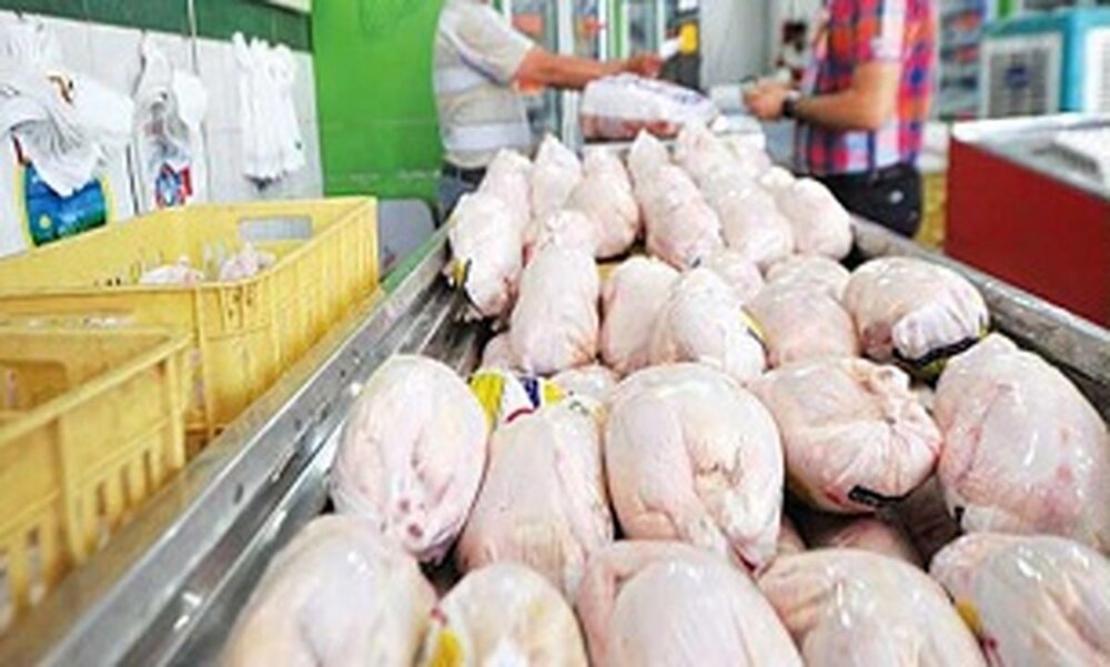 قیمت مرغ این هفته کاهش می‌یابد