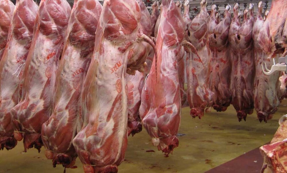 راهبرد بازار؛ آغاز توزیع گوشت گوساله گرم و منجمد/اعلام نرخ‌های تنظیم بازاری