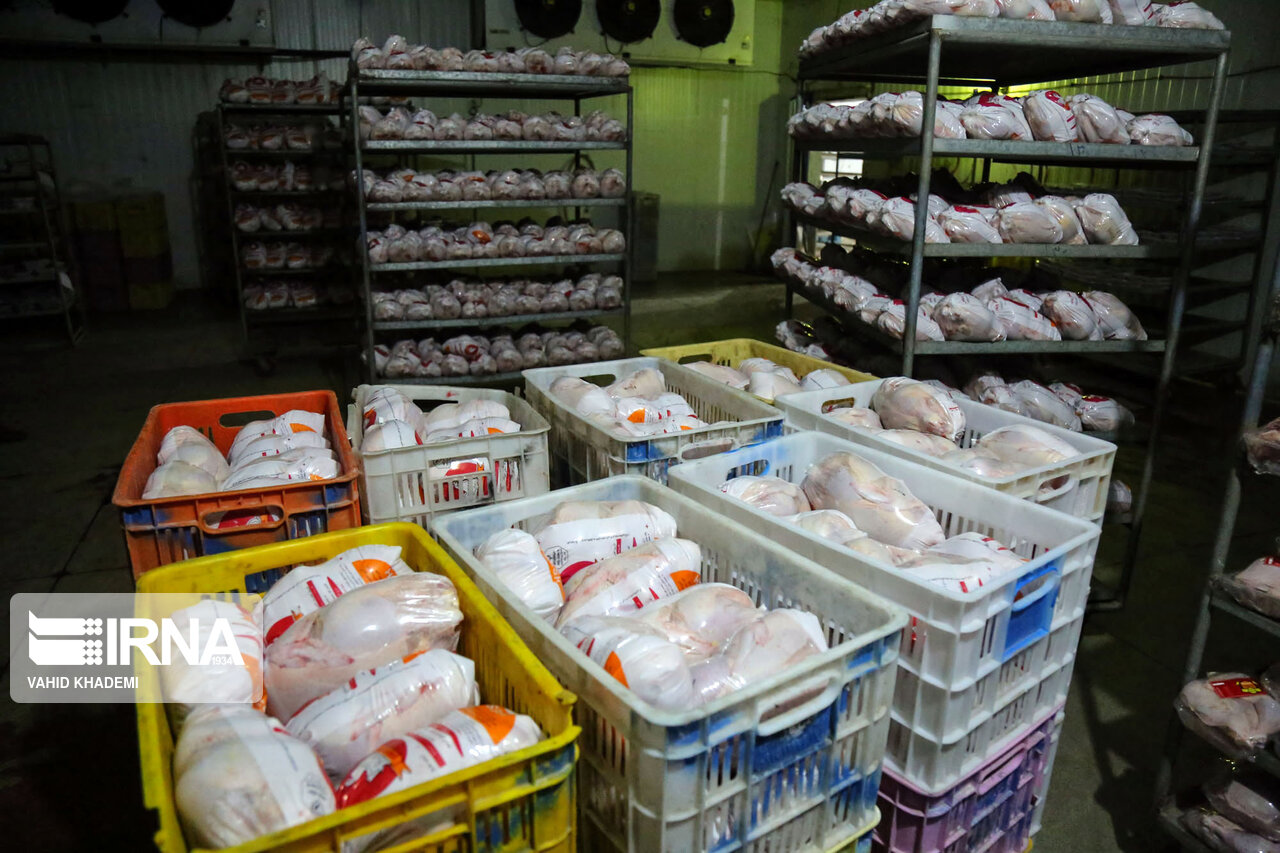 راهبرد بازار؛ ۷۰ تن گوشت مرغ خراسان جنوبی به سایر استان‌ها ارسال می‌شود