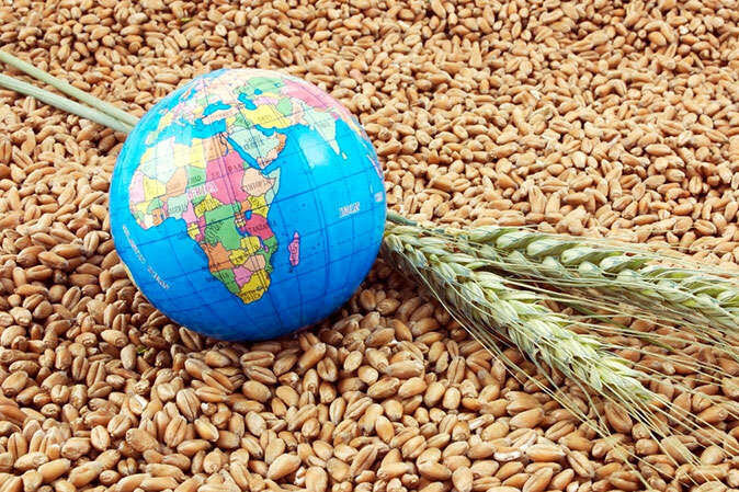 راهبرد بازار؛ توسعه امنیت غذایی در کشور نیازمند تدابیر ویژه