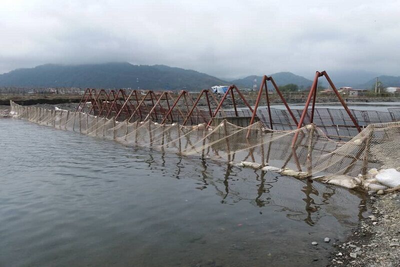 راهبرد بازار؛ تیم تکثیر ماهیان استخوانی در رودخانه آستارا مستقر شد