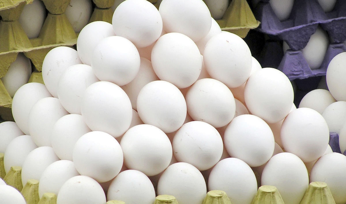 راهبرد بازار؛ هیچ کمبودی در بازار تخم مرغ نداریم/ مازاد تولید برای صادرات
