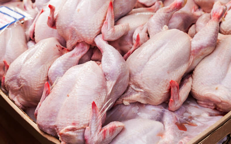 راهبرد بازار؛ ممنوعیت صادرات مرغ به عراق رفع شد