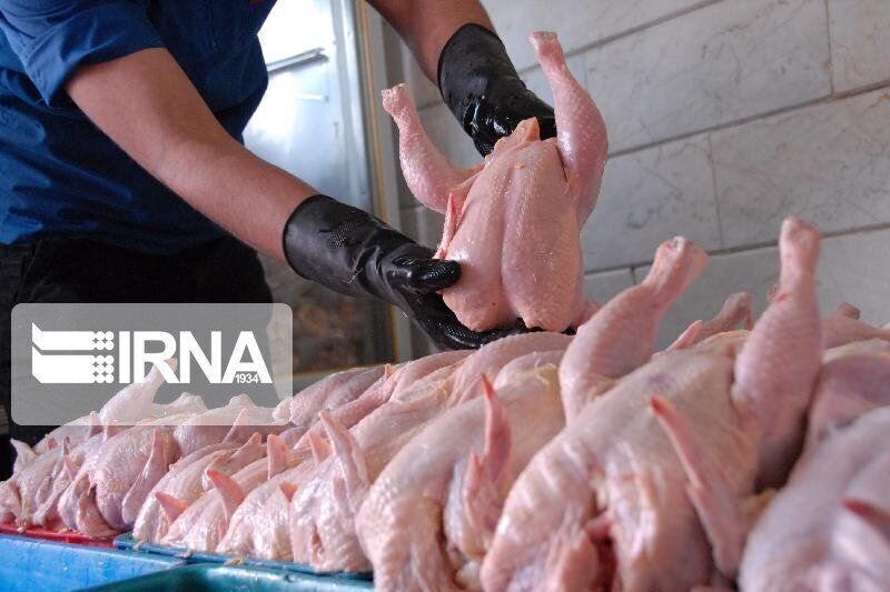 راهبرد بازار؛ کاهش ۴۵ درصدی تولید گوشت مرغ کشور صحت ندارد